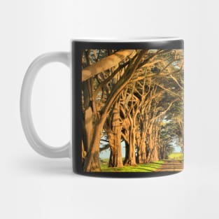 Cypress Lined Road Mug